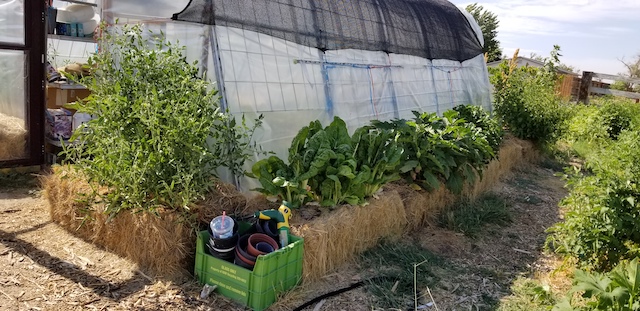 straw-bale-gardens